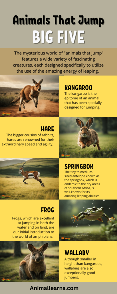 Top 20 Animals That Jump