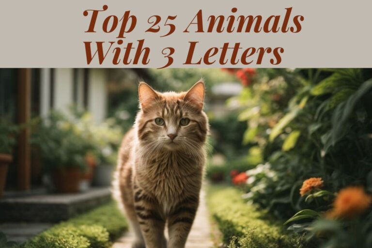 Top 25 Animals With 3 Letters