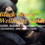 Black Bears Wellbeing Guide