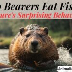 Do Beavers Eat Fish