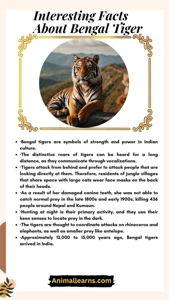 Interesting Facts About Bengal Tiger