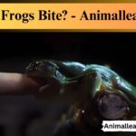 Do Frogs Bite