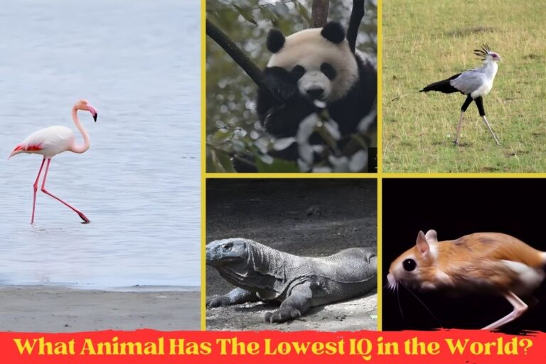What Animal Has The Lowest IQ in the World? (12 Examples)