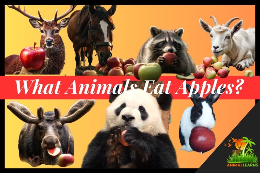 What Animals Eat Apples (17 Examples with Pictures)