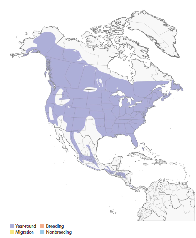 Hairy Woodpecker Range Map